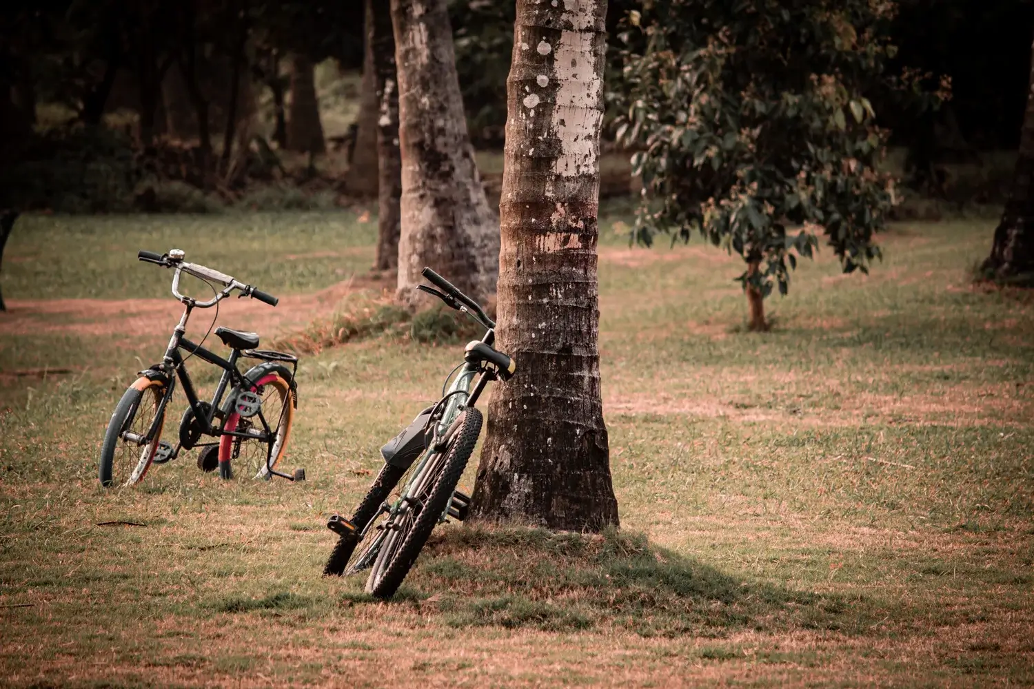 Aravali Hills Cycling