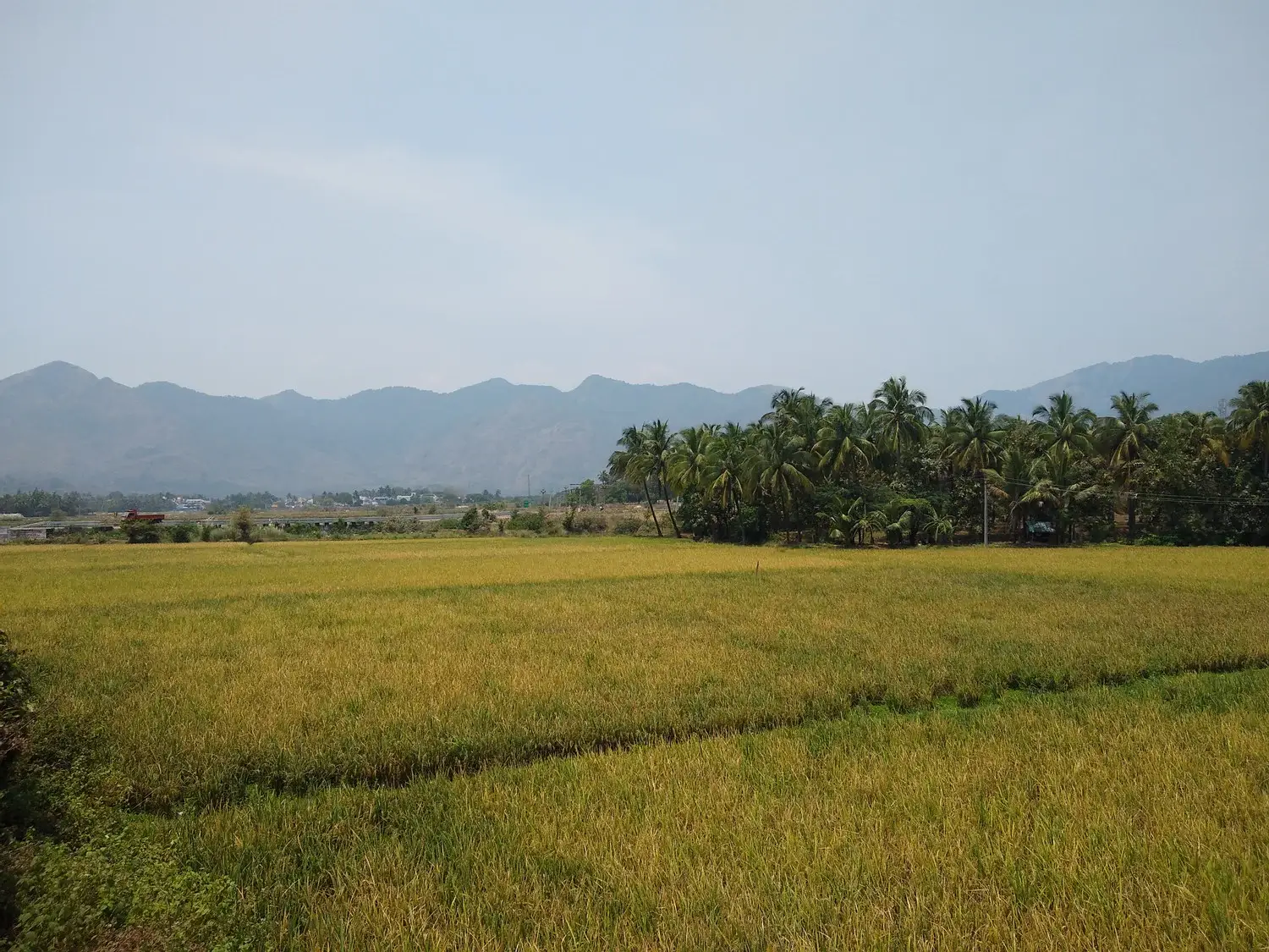 Lush Green Organic Farm At Jhadol Bagh